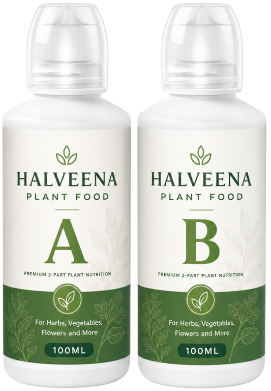 All-Purpose Plant Food