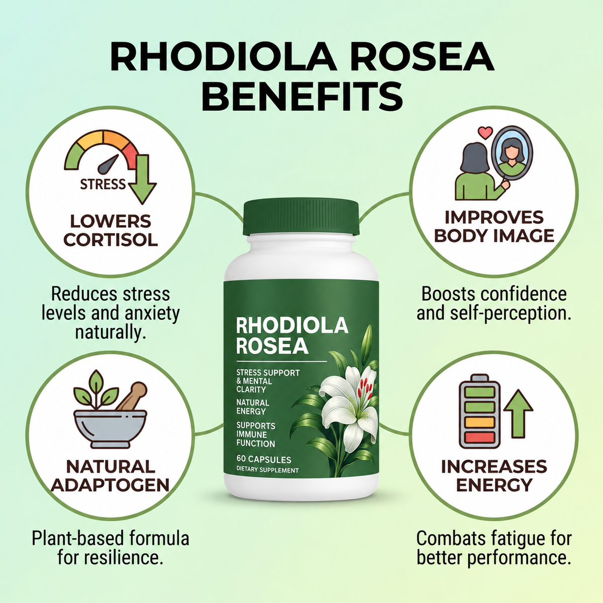 Rhodiola Rosea Supplement - 60 Capsules