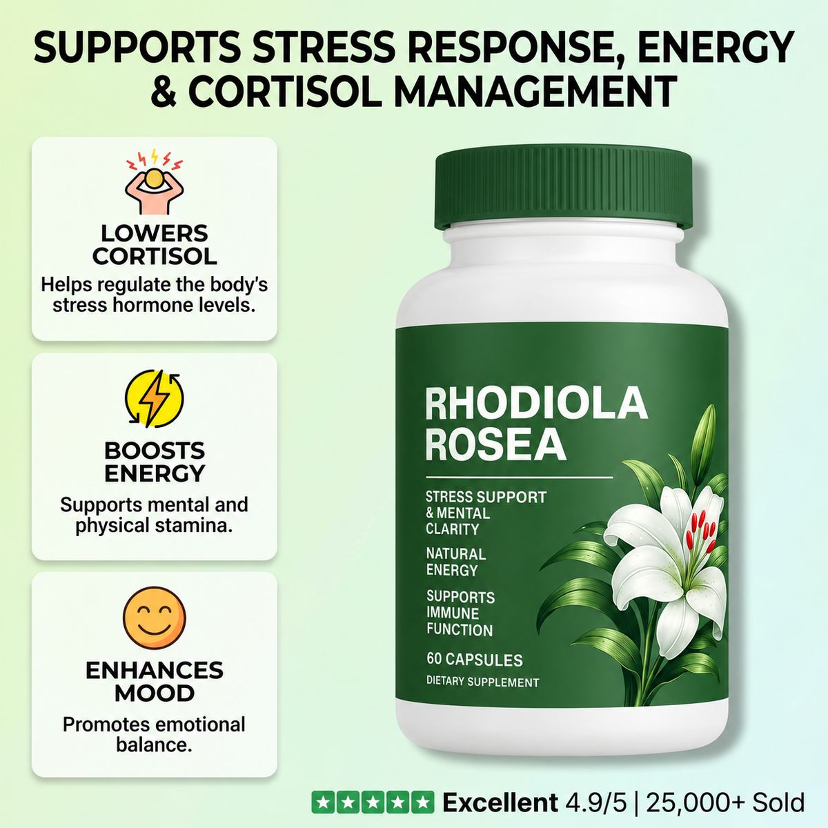 Rhodiola Rosea Supplement - 60 Capsules