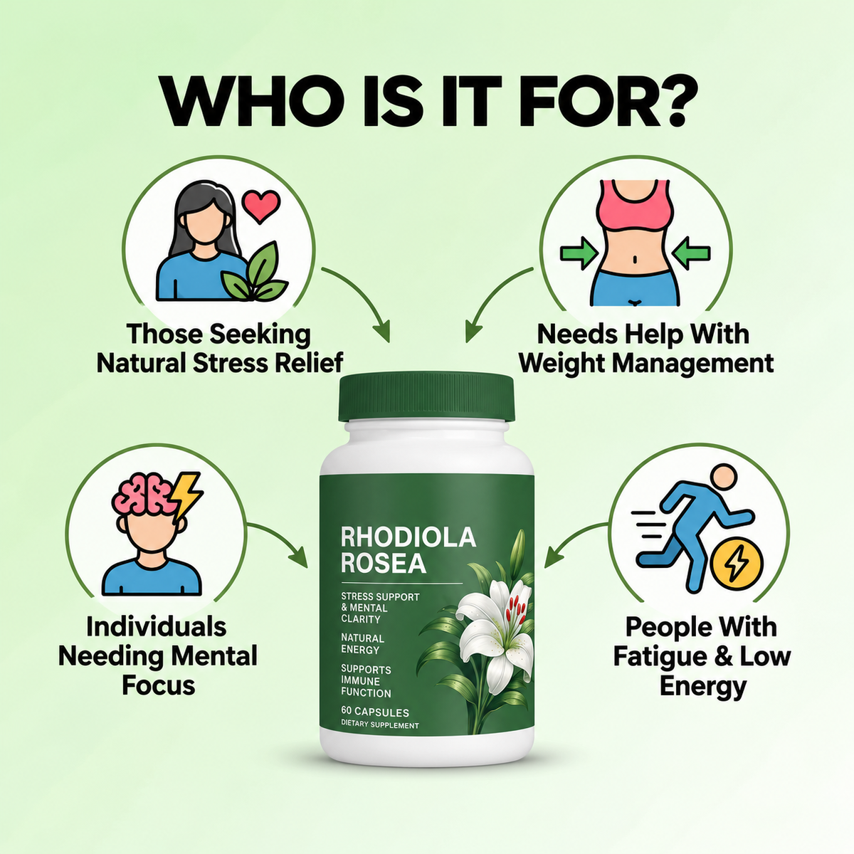 Rhodiola Rosea Supplement - 60 Capsules