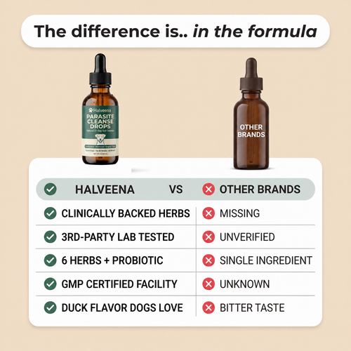 Halveena- Parasite Cleanse Drops For Dogs