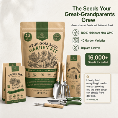 Halveena's Heirloom Seed Kit (40 Pack)