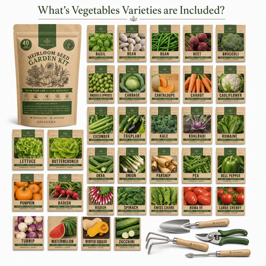 Halveena's Heirloom Seed Kit (40 Pack)