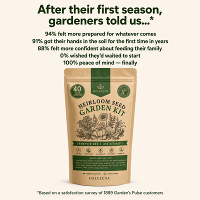 Halveena's Heirloom Seed Kit (40 Pack)