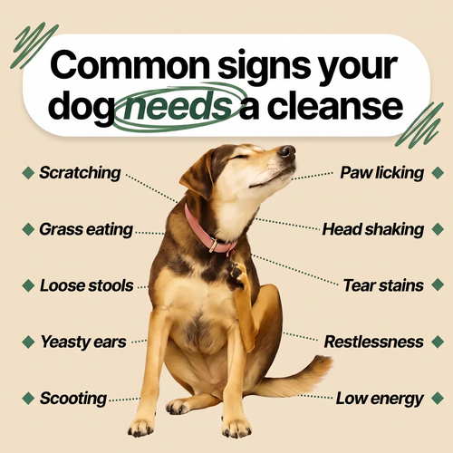 Halveena- Parasite Cleanse Drops For Dogs