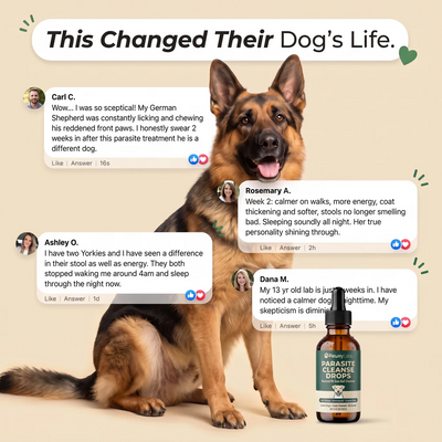 Halveena- Parasite Cleanse Drops For Dogs